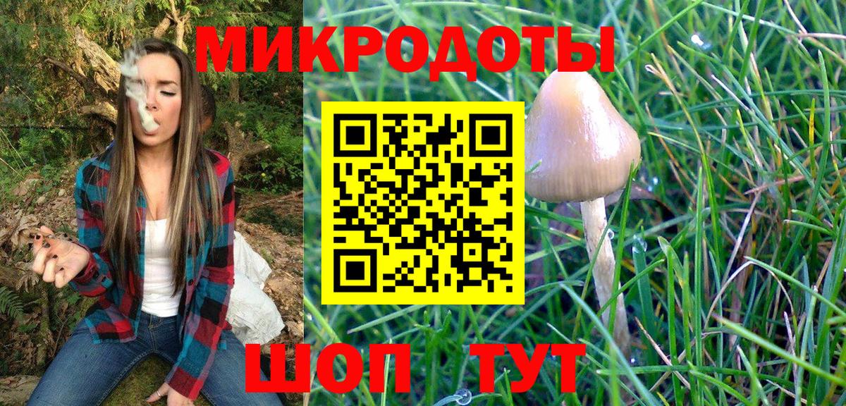 Псилоцибиновые грибы Psilocybine cubensis  купить  сайты  Конаково  Галлюциногенные грибы ЛСД  Вход с VPN 